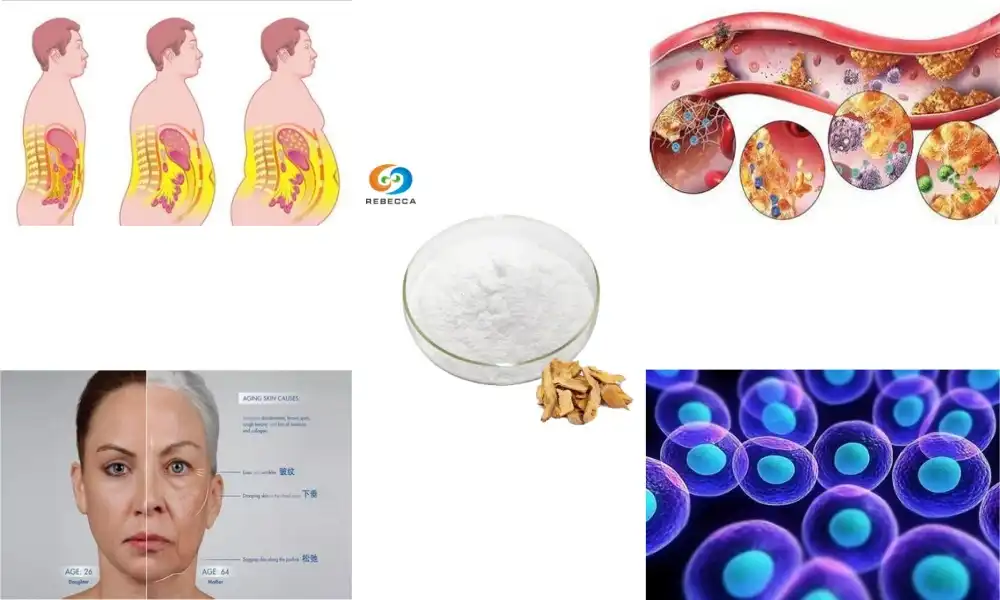 Can resveratrol supplements aid in weight management effectively?